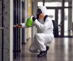 Professional Mold Removal in Pecan Grove, TX